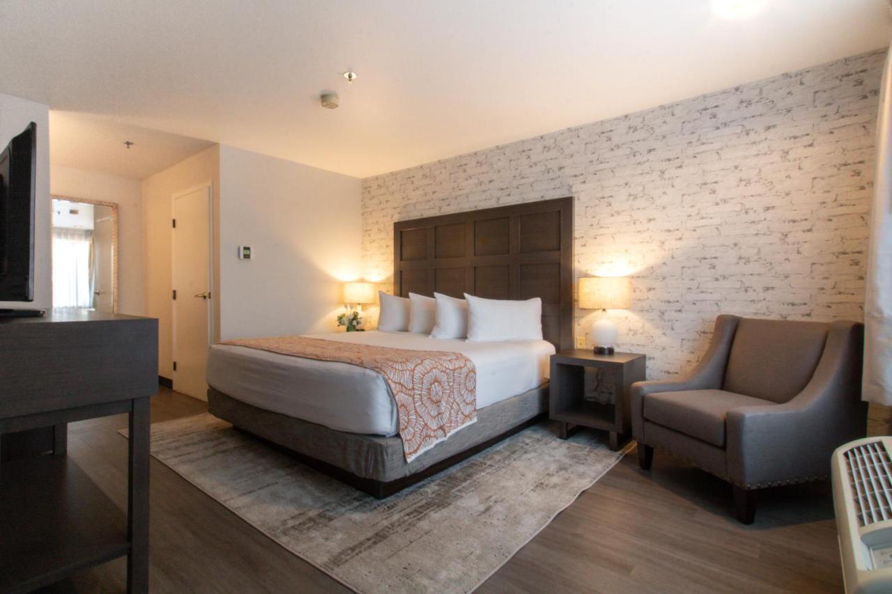 Family Double King Suite at Oxford Suites Chico
