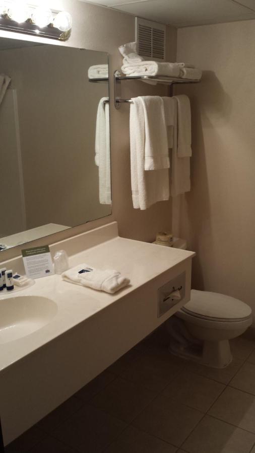 Deluxe King Suite - Non-Smoking at AmericInn by Wyndham Madison SD