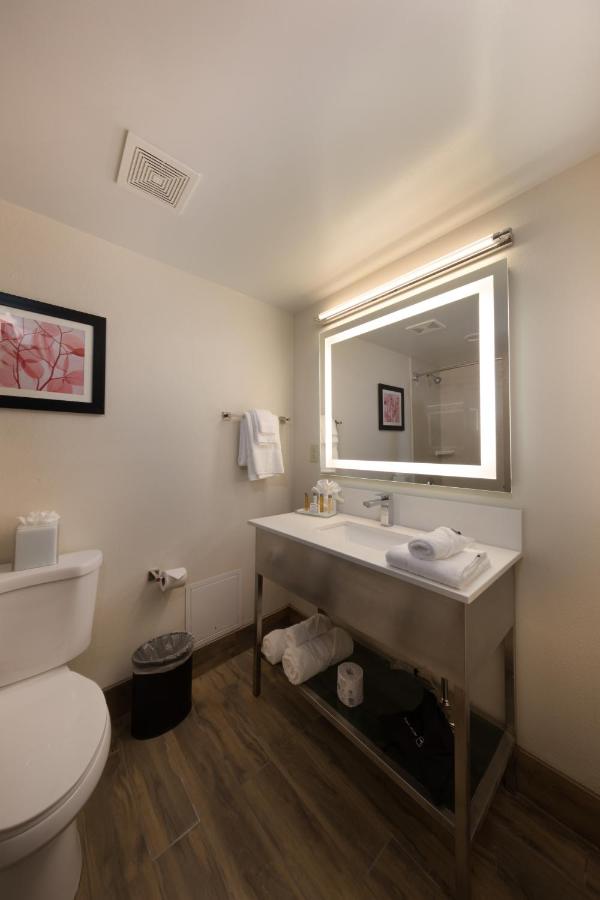 Standard King Room with Sofa Bed - Non-Smoking at Holiday Inn Brookfield - Milwaukee by IHG