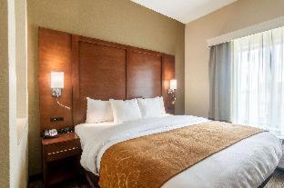Room #230583608 at Comfort Suites Meridian and I-40
