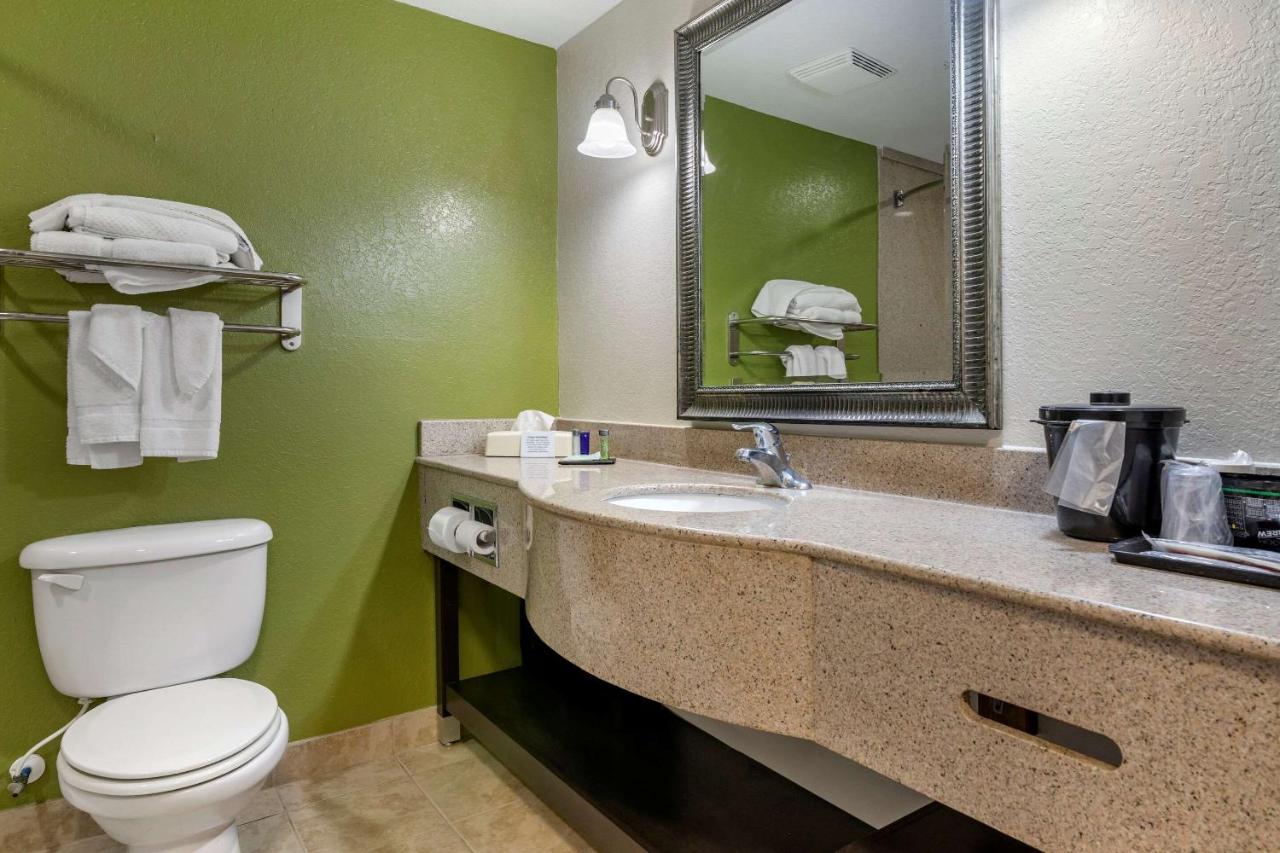 King Room - Non-Smoking at Sleep Inn & Suites Brunswick North