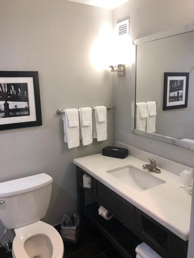 Deluxe King Room - Non-Smoking at Holiday Inn Hotel & Suites Lafayette North, an IHG Hotel