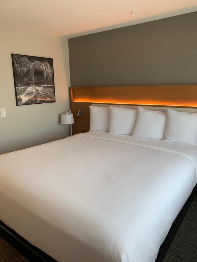 One-Bedroom Business King Suite - Non-Smoking at Ramada by Wyndham West Sacramento Hotel and Suites