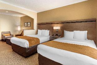 Room #49190907 at Comfort Suites Baytown I - 10