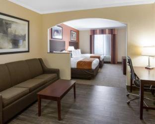 Room #49190907 at Comfort Suites Baytown I - 10