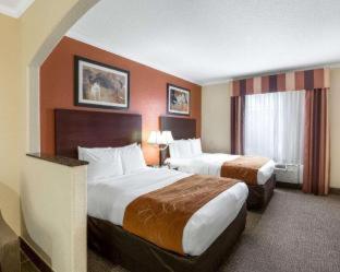 Room #49190907 at Comfort Suites Baytown I - 10