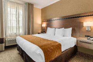 Room #49190909 at Comfort Suites Baytown I - 10