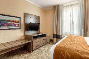 Room #49190909 at Comfort Suites Baytown I - 10