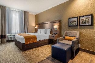 Room #49190910 at Comfort Suites Baytown I - 10