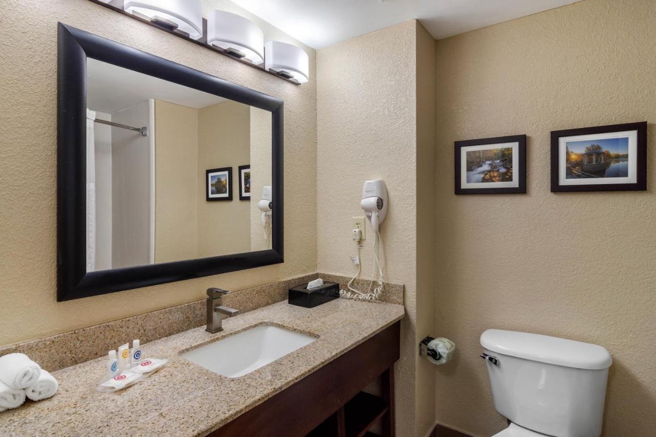King Suite - Non-Smoking at Comfort Suites Woodstock - Atlanta North