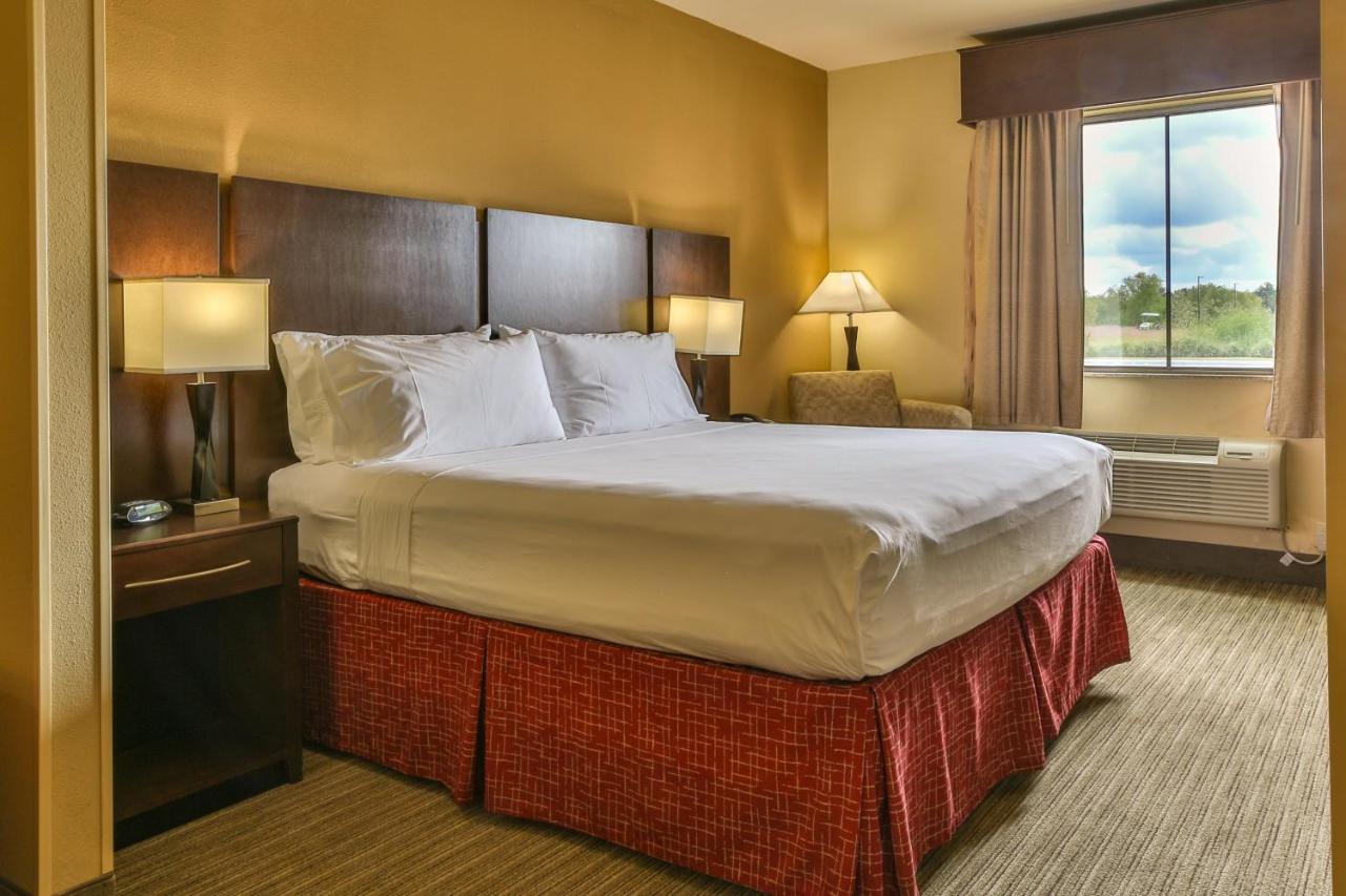 King Suite with Sofa Bed at Holiday Inn Express & Suites Houston South near Pearland by IHG