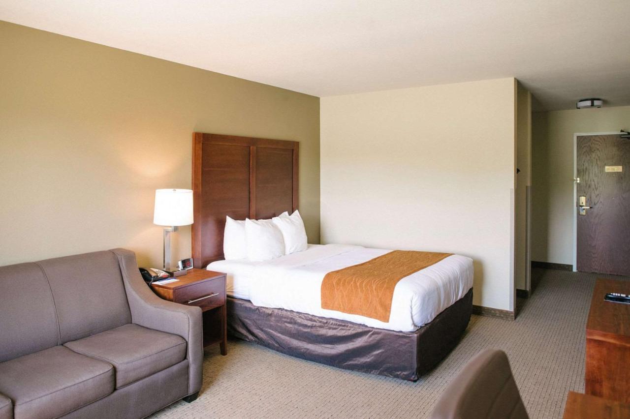 Queen Room - Accessible/Nonsmoking at Comfort Inn & Suites Custer - Crazy Horse Area