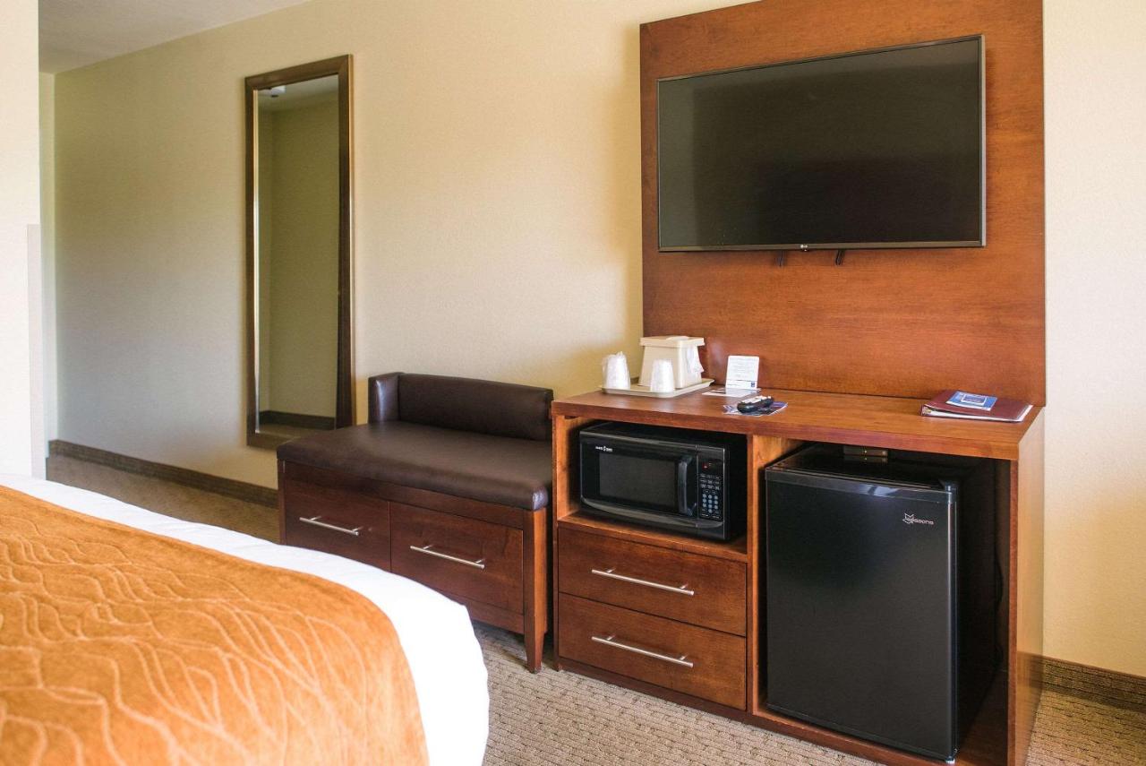 Queen Room - Accessible/Nonsmoking at Comfort Inn & Suites Custer - Crazy Horse Area