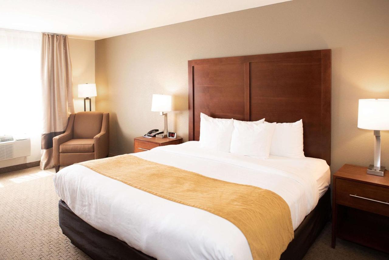 King Room - Non-Smoking at Comfort Inn & Suites Custer - Crazy Horse Area
