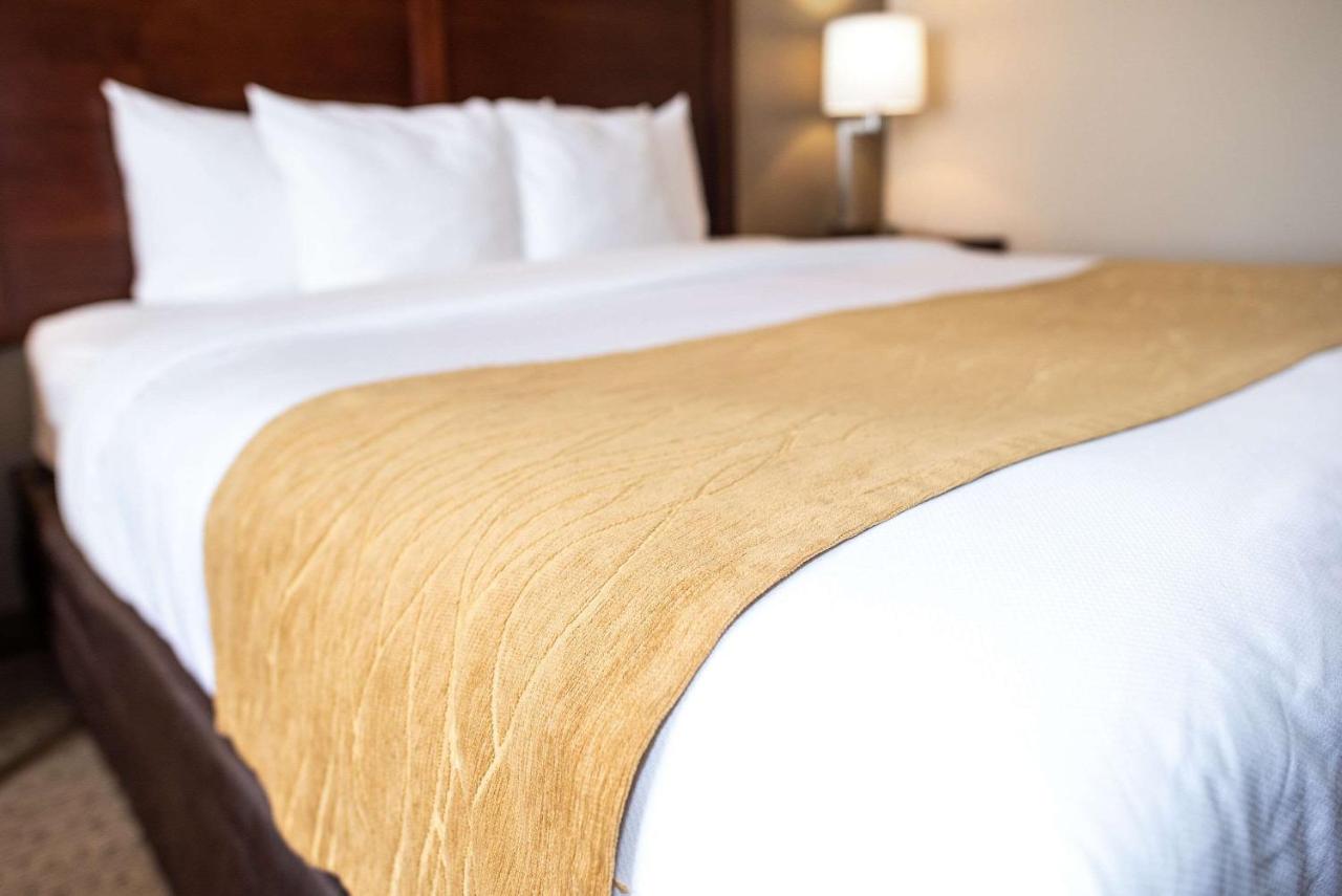King Room - Accessible/Non-Smoking at Comfort Inn & Suites Custer - Crazy Horse Area