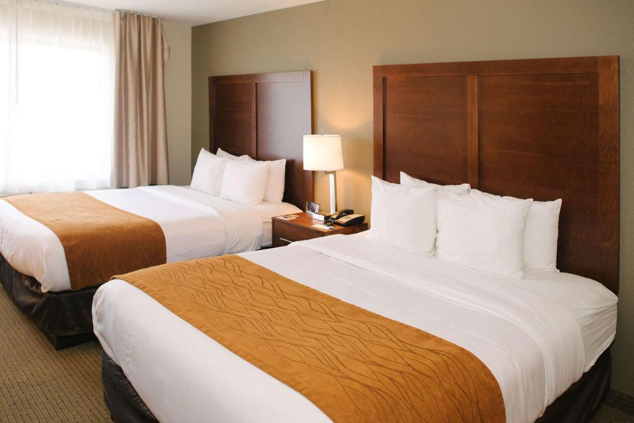 Queen Room with Two Queen Beds - Non-Smoking at Comfort Inn & Suites Custer - Crazy Horse Area