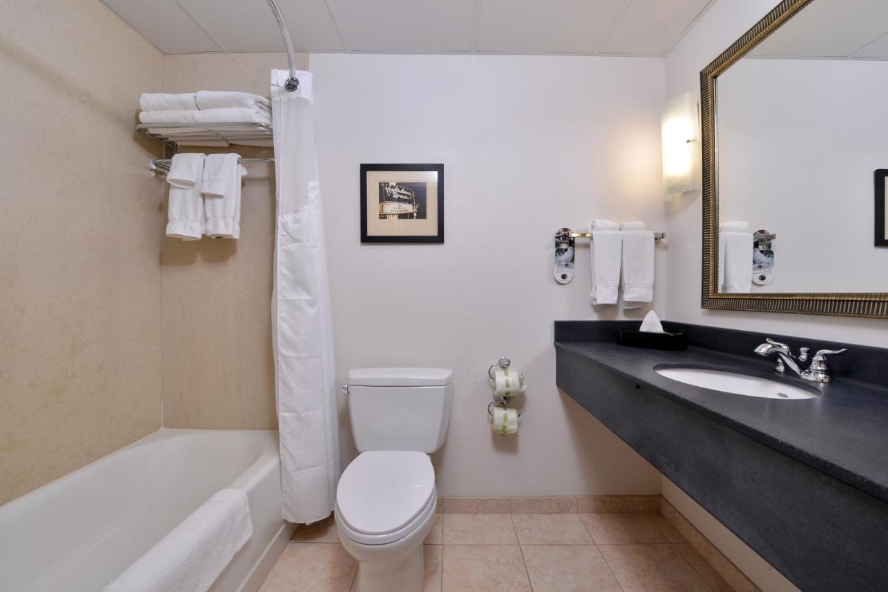 Standard  Room at Holiday Inn Madison at The American Center, an IHG Hotel