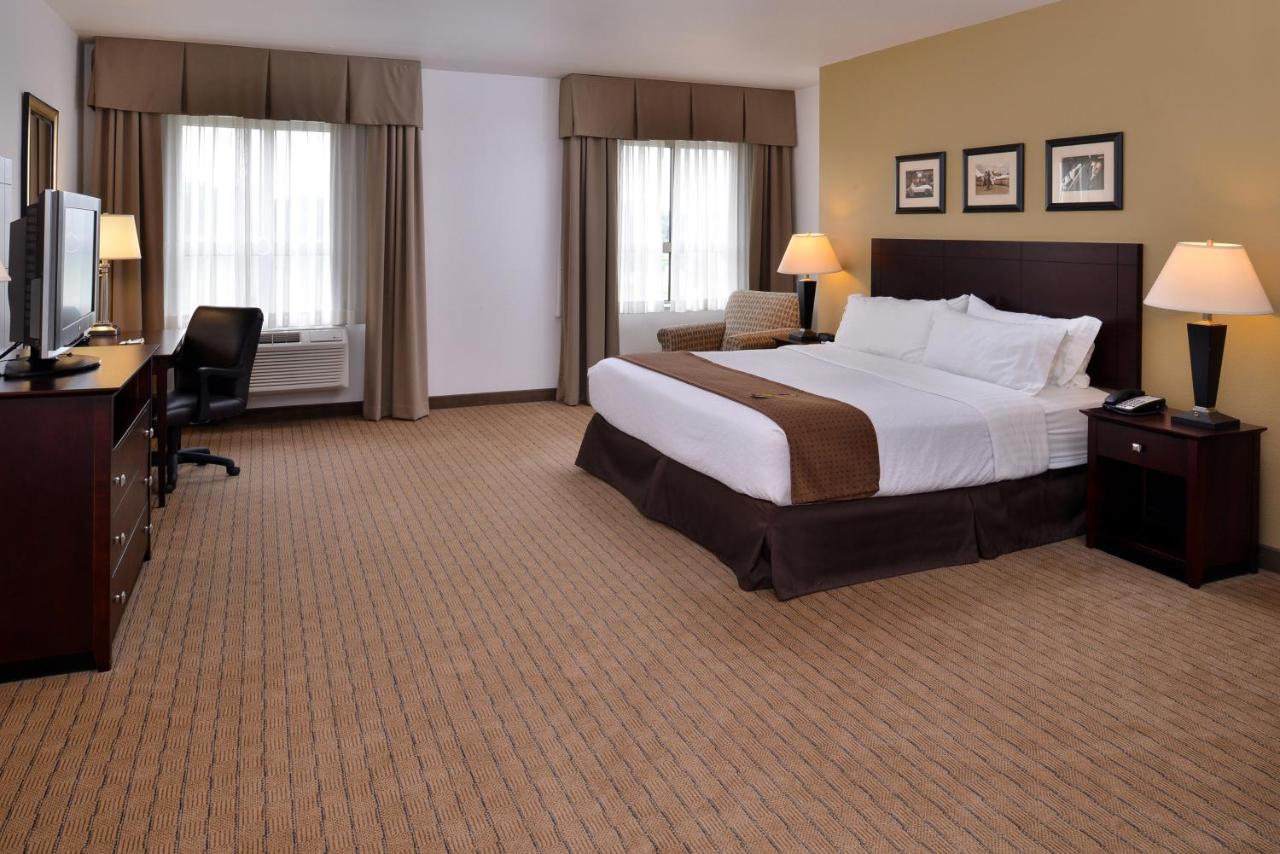Standard  Room at Holiday Inn Madison at The American Center, an IHG Hotel