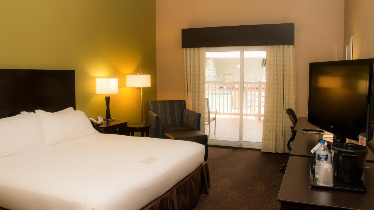 Executive King Suite - Non-Smoking at Holiday Inn Express Hotel & Suites Saginaw by IHG