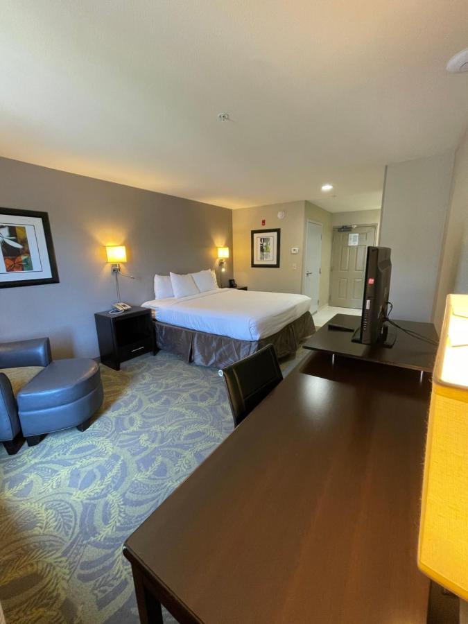Standard King Room at Country Inn & Suites by Radisson, San Carlos, CA