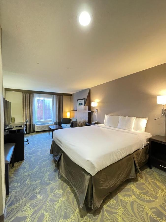 King Studio Suite with Sofa-Bed at Country Inn & Suites by Radisson, San Carlos, CA