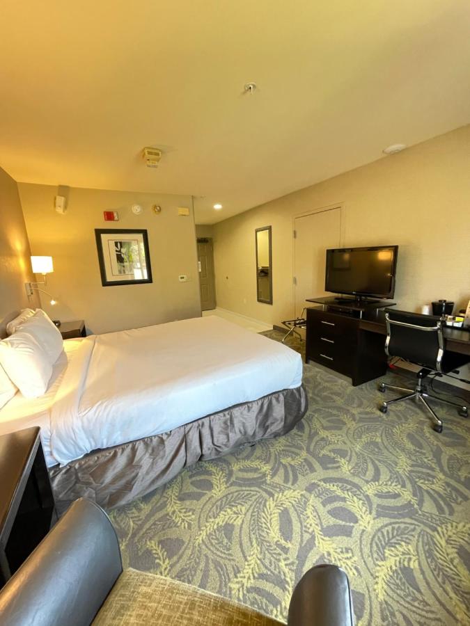 King Room - Disability Access at Country Inn & Suites by Radisson, San Carlos, CA