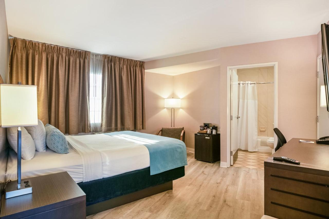 Comfort Single Room at Safari Inn Burbank/Universal, a Coast Hotel