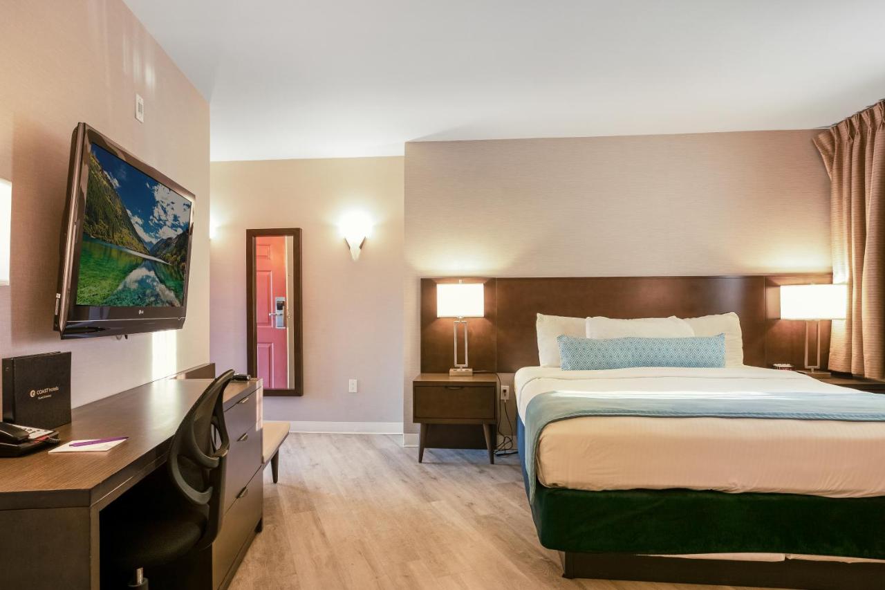 Comfort Single Room at Safari Inn Burbank/Universal, a Coast Hotel
