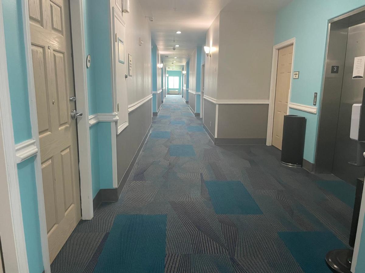 Deluxe King Room - Non-Smoking at La Quinta Inn & Suites by Wyndham Raymondville