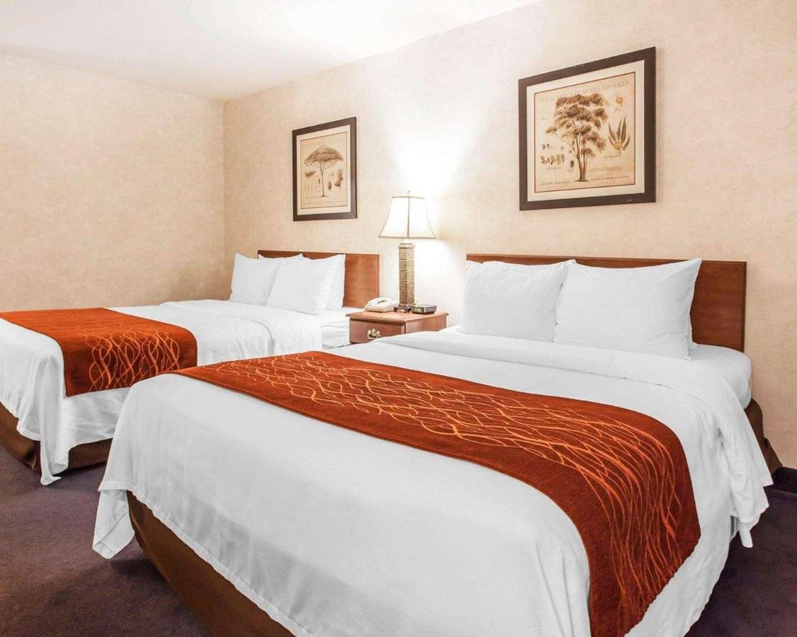 Suite with Two Queen Beds - Accessible/Non-Smoking at Holiday Inn Express & Suites Tumwater – Olympia by IHG