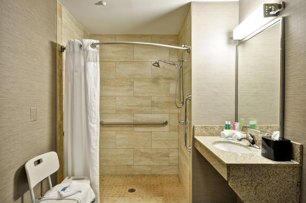 King Room - Mobility Access/Roll in Shower - Non-Smoking at Holiday Inn Express Romulus / Detroit Airport by IHG