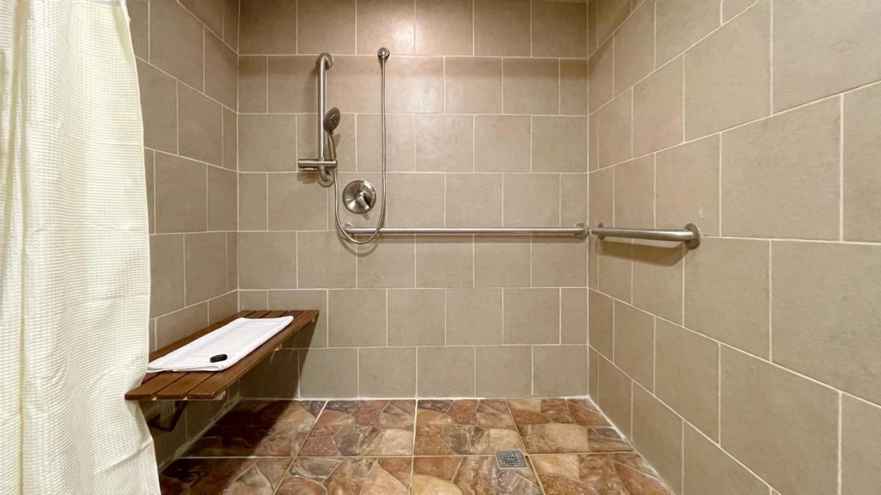 Standard King Bed Accessible at Hotel d’Lins Ontario Airport