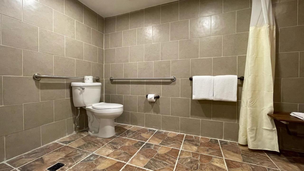 Standard King Bed Accessible at Hotel d’Lins Ontario Airport