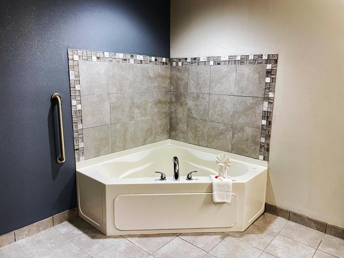 1 King Bed, Deluxe Studio Suite, Non-Smoking at Microtel Inn & Suites by Wyndham Michigan City