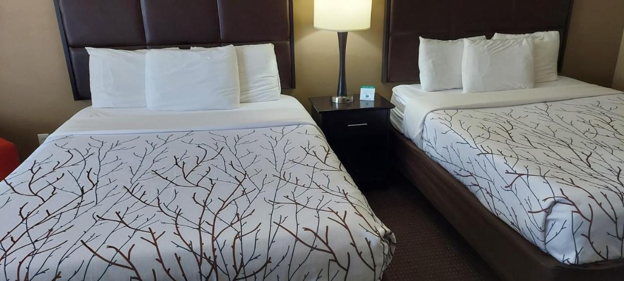 Queen Room with Two Queen Beds - Disability Access at Parkwood Inn & Suites