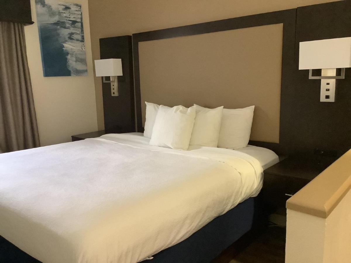 King Suite with Sofa Bed at Best Western Plus Madison