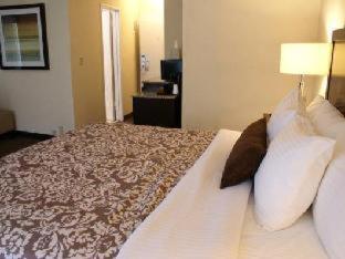 Room #7955556 at Royal Palace Westwood
