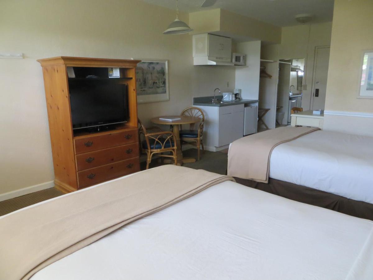 Lemon Tree Inn