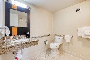 Room #26716840 at Super 8 by Wyndham Dallas Love Field Airport