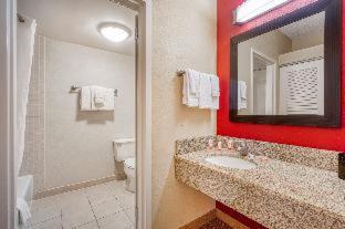Room #26716842 at Super 8 by Wyndham Dallas Love Field Airport