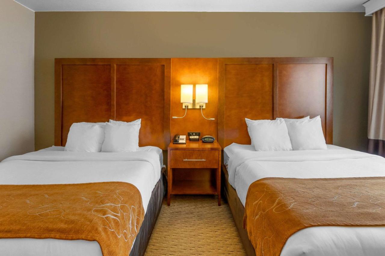 Upgrade Queen Room with Two Queen Beds - Non-Smoking/First Floor at Comfort Suites Burlington