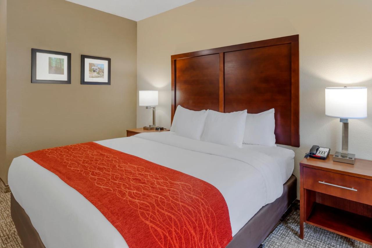 King Room - Accessible/Non-Smoking at Comfort Inn & Suites Canton Riverstone Area
