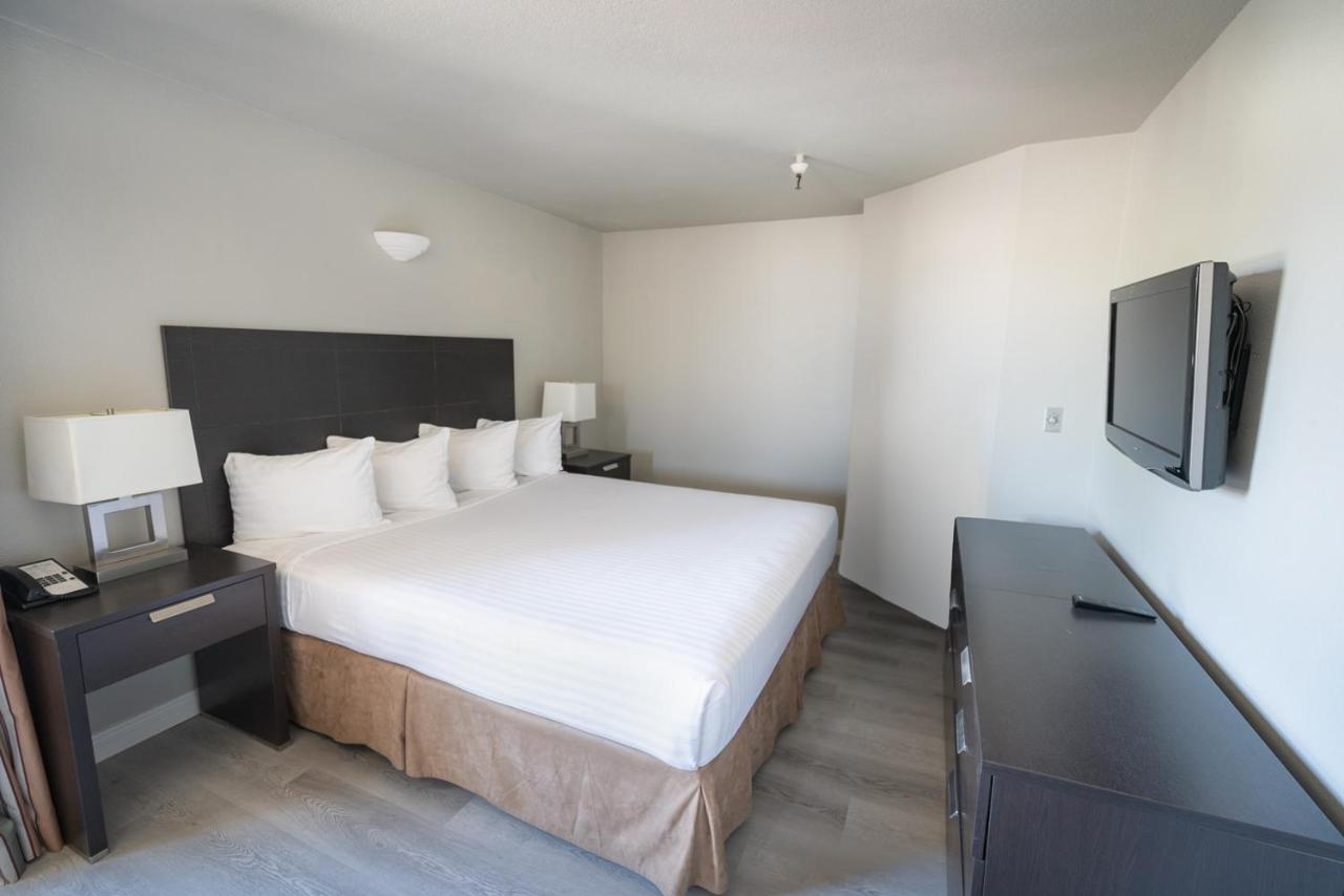 Extended Stay King Bed Suite at Alexis Park All Suite Resort