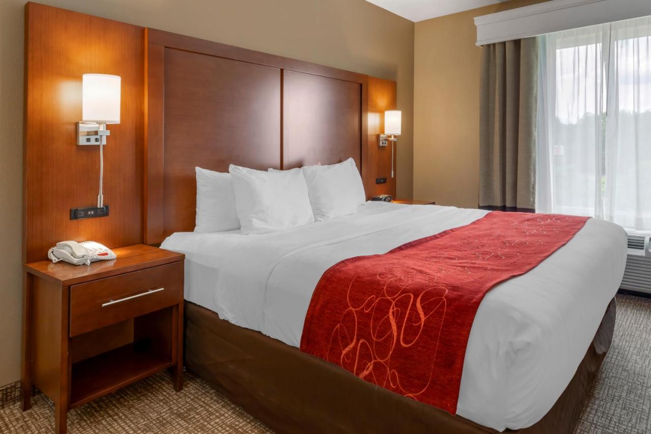 King Suite - Accessible/Non-Smoking at Comfort Suites Knoxville North