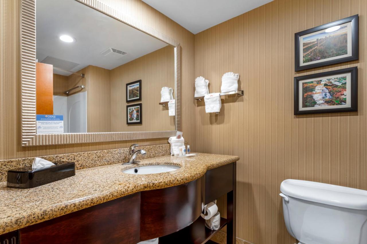 King Suite - Non-Smoking at Comfort Suites Knoxville North