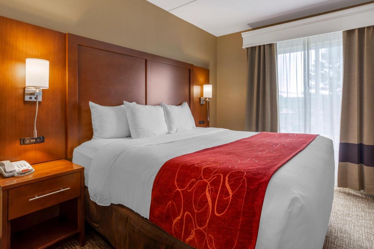 One-Bedroom King Suite with Sofa Bed - Non-Smoking at Comfort Suites Knoxville North