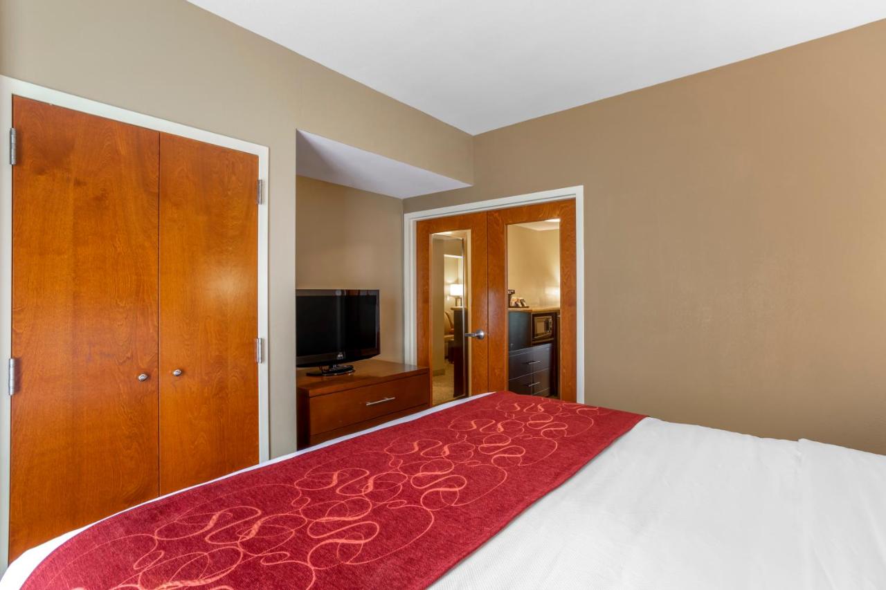 One-Bedroom King Suite with Sofa Bed - Non-Smoking at Comfort Suites Knoxville North
