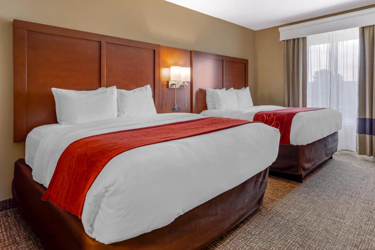 One-Bedroom Queen Suite with Sofa Bed - Non-Smoking at Comfort Suites Knoxville North
