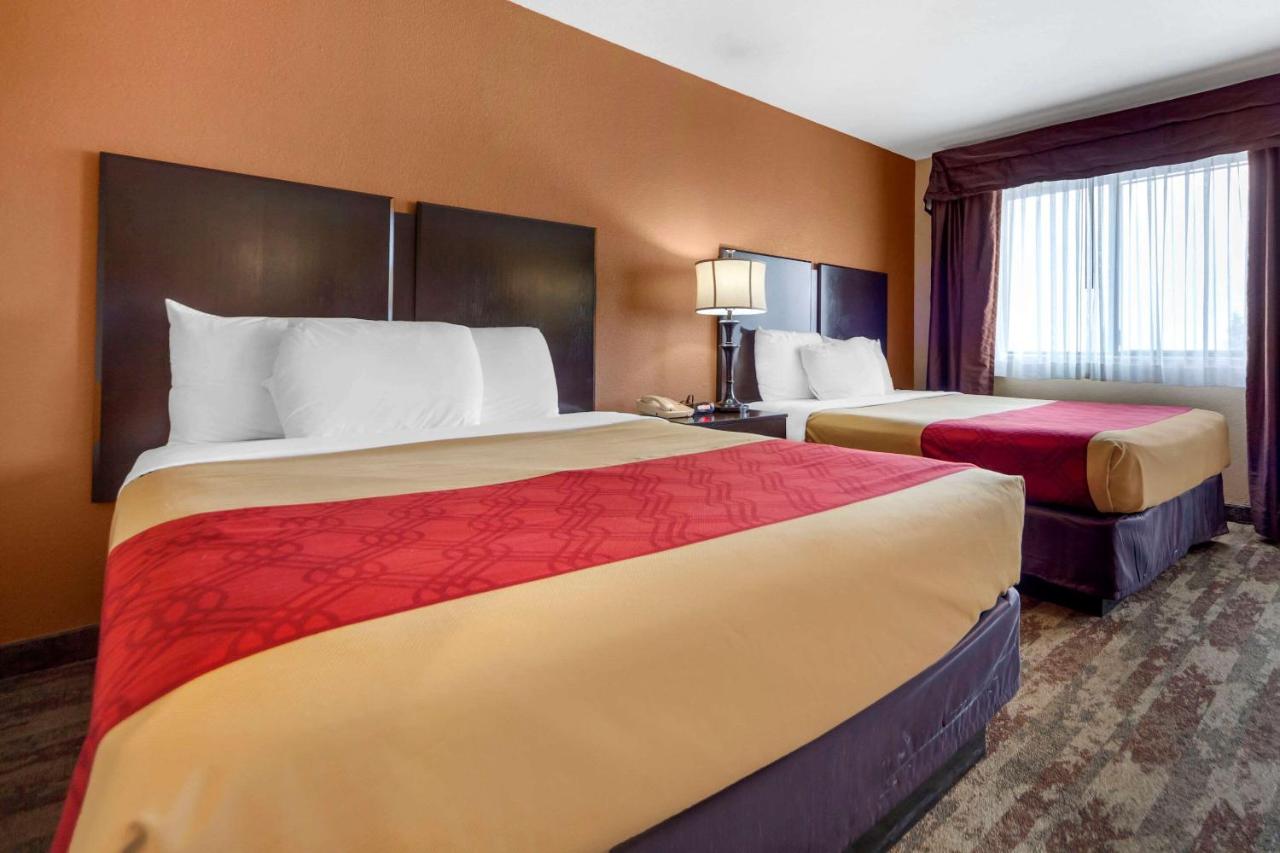 Queen Suite - Non-Smoking at Econo Lodge Black Hills