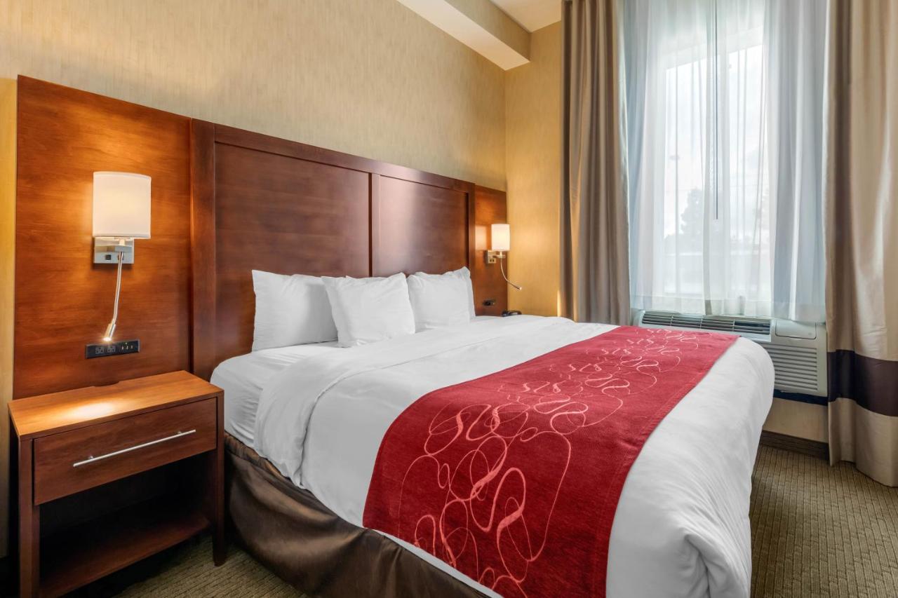 Corner Suite, 1 King Bed with Sofa Bed, Accessible Tub, Non Smoking at Comfort Suites Near City of Industry - Los Angeles